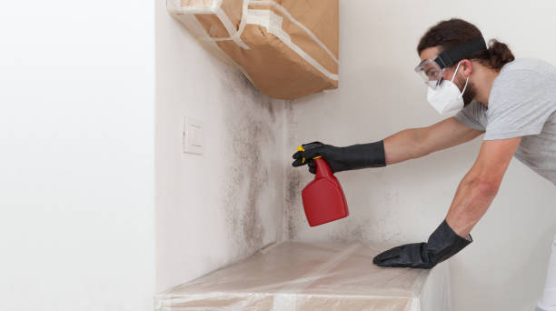 Professional Mold Testing technician working in Jamestown, NY
