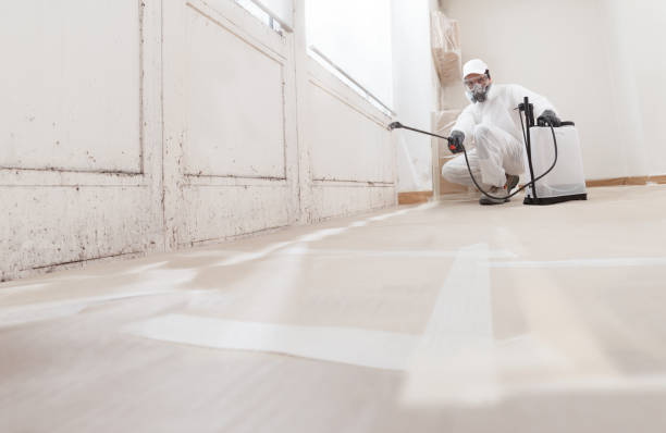 24/7 Emergency Mold Testing experts in Jamestown, NY