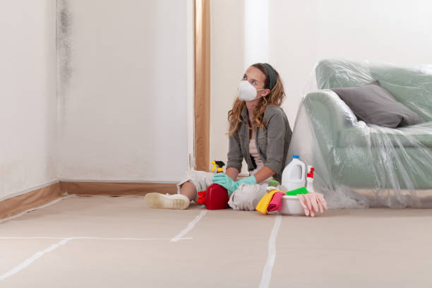 Reliable Mold Testing contractor in Jamestown, NY by WQB Mold Removal